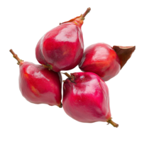 Freshly harvested rose apples, or chomphu, showcase their vibrant color and shape against a clean transparent background, Rose apples or chomphu on transparent background png
