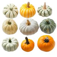 Explore a vibrant collection of pumpkins showcasing diverse shapes and colors against, Different types of pumpkin transparent background. Pumpkin vegetables isolated on transparent background png