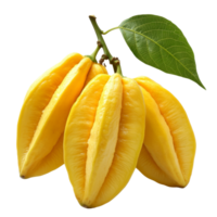 Durian fruit cluster isolated on a transparent background highlighting its unique appearance and vibrant color, Durain fruit isolated on transparent background png