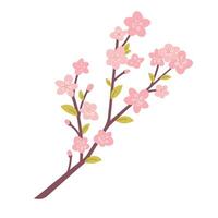 Long branch of cherry blossom, sakura on white background. botanical element for Spring Festival, Hanami vector