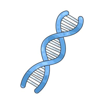 DNA Strand Illustration