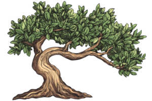 A stylized tree with twisting branches and lush green leaves, showcasing a unique and artistic design. png