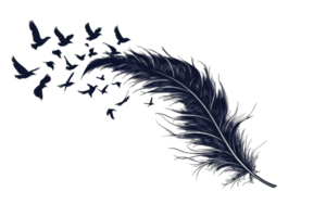 A dark feather with birds emerging from it, creating a seamless blend between the two elements. png