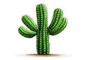 A green cactus with multiple arms, showcasing its distinct segmented shape and spines. png