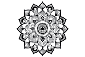 A detailed mandala design featuring intricate patterns and symmetrical shapes, showcasing a central circular motif. png