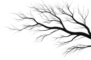 A dark, skeletal tree branch extends outward, showcasing intricate patterns of twisted and bare limbs. png