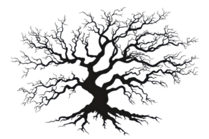 A dark, intricate tree with sprawling branches that twist and turn, showcasing a striking silhouette. png