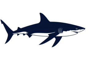 A sleek, dark silhouette of a shark, showcasing its streamlined body and distinctive fin shape. png