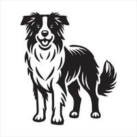 Border Collie dog isolated transparent background vector