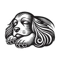 Cocker Spaniel deep sleeping dog Transparent background vector