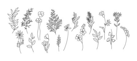 Set of tiny wild flower and plant line art . vector