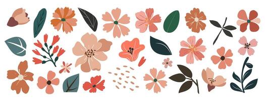 Set of hand drawn floral design elements . vector