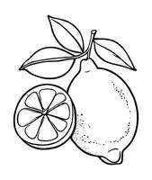 Lemon, lime citrus fruit black icon. vector