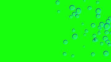 Soothing Bubble Animation on Green Screen. Infinite Loop. video