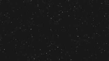 Dusty And Speck animated dynamic video