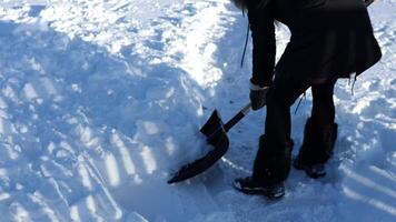 Female clearing snow with shovel in slow motion, showcasing winter maintenance challenges. Snow piles shift as she works through cold daytime conditions, emphasizing effort in snow removal. video
