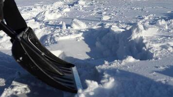 Woman shoveling snow during winter clears pathway with focused effort, lifting and tossing snow in slow motion. Detailed snow removal process highlights determination and precision. video