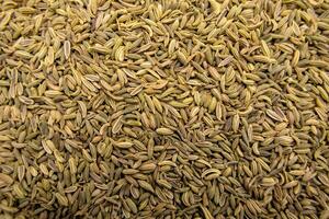 Full-Frame Close-Up of Fennel Seeds Top View Textured Herbal Ingredient Macro photo