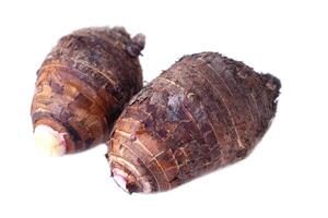 Fresh organic taro roots isolated on white background. Concept, edible plant root that can be cooked for many delicious menu of food and dessert. Agricultural crops. photo