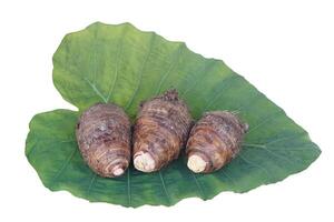 Fresh organic taro roots on leaf isolated on white background. Concept, edible plant root that can be cooked for many delicious menu of food and dessert. Agricultural crops. photo