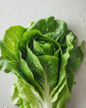un cerca arriba de un manojo de lechuga con agua gotas en eso foto