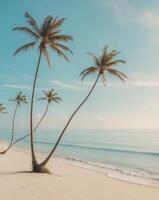 Deserted tropical beach with palm trees and calm ocean waveDeserted tropical beach with palm trees and calm ocean wave. photo
