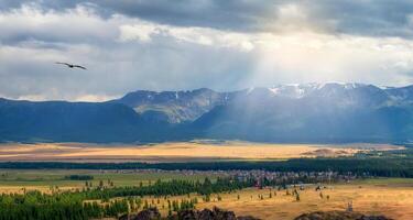 Altai village of Kurai. Wide panoramic view of the Kurai steppe in the Altai. Steppe on the background of mountains. photo