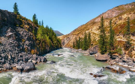 río con amarillo otoño arboles en altai montañas, Siberia, Rusia. foto