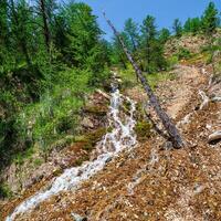 Waterfall stream on a sunny mountain slope. Cascading waterfall in the Alps. Slopes around it are overgrown with lush green forest. Waterfall flows along very steep slope. Sunny and bright day. photo