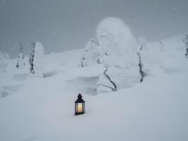 An old lantern with a candle stands on the evening snow in a frosty winter forest with bizarrely twisted trees photo