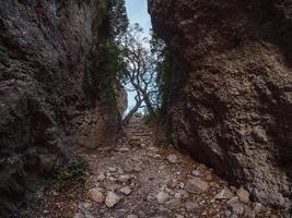 path between the rocks photo