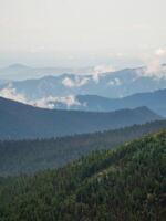 peaks of high mountains overgrown with coniferous forest under a cloudy sky photo