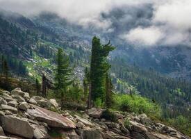Rapid change in the weather, a thunderstorm front cover forest m photo