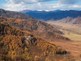 Mountains covered with autumn forest. photo