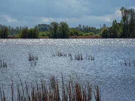 Colorful sunny spring landscape with sparkling water in the lake in the sun. photo