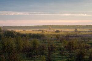 sunrise and morning fog in spring over a field with trees photo