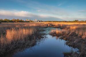 Trinity-Sergius Varnitsky Monastery. Dry reeds in the water in the golden rays of the sun. photo