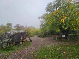 Demerdzhi Nature Park in the morning fog. Rainy autumn weather. photo