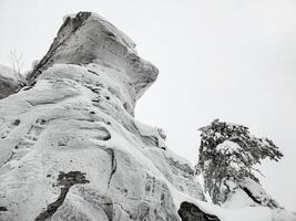 Large stone cliff covered with frozen snow, view from below. photo