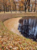 Round pond in autumn. Fallen leaves on the surface of the water in the shape of a crescent. photo