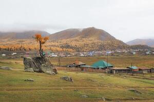 Outskirts of the village in autumn. Split in half large granite boulder with red autumn larch on the hillside. Small remote Siberian village in the late autumn under the mountain. photo