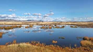 Panoramic landscape in a nature reserve. Blue water surface, flood meadows with the reflection of cumulus white clouds and dry grass in the foreground. photo