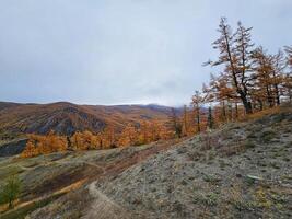 Narrow path on the slope of an beautiful autumn hill going into the distance. Footpath through valley in highland in cloudy day. Hiking path. Spectacular view of distant giant mountains. photo