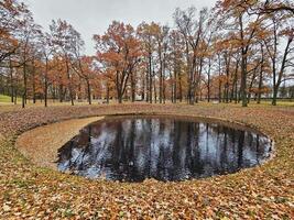 Fallen leaves on the surface of the water in the shape of a crescent. photo