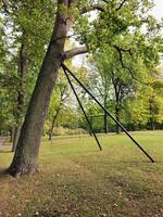 Support for heavy branches of old trees in the park. Caring for the environment, caring for nature concept. Vertical view. photo