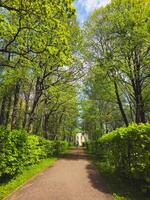 Walkway in the spring the park, blue sky. Vertical view. photo