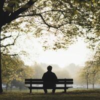 Person sitting on a bench in a peaceful park during early morning light photo