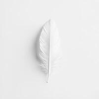 Delicate white feather lying on a light background, showcasing its intricate texture and natural beauty photo