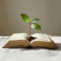 Book with a small plant growing from its pages on a light background symbolizes knowledge and nature's connection photo