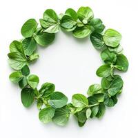Green leaf wreath made from fresh herbs for decoration or craft purposes at home photo